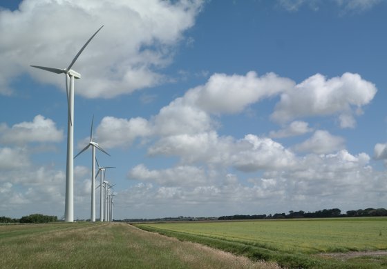 Nederlandse windenergie