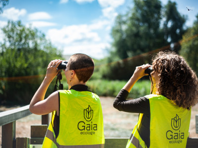 Ecologisch onderzoek steeds belangrijker bij bouw- en sloopprojecten