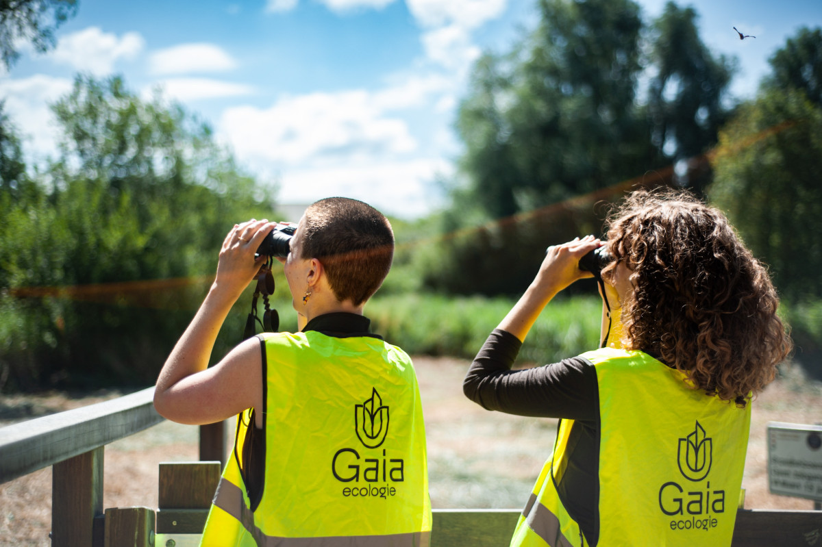 Ecologisch onderzoek steeds belangrijker bij bouw- en sloopprojecten