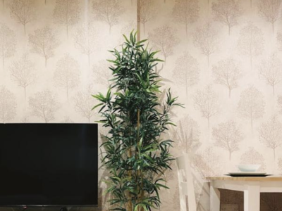 Behangen of verven: Wat is makkelijker zelf te doen?