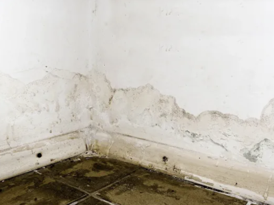 Snel ingrijpen bij een kelderlekkage