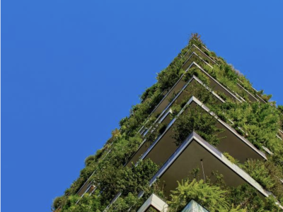 Bouwen met een positieve ecologische footprint